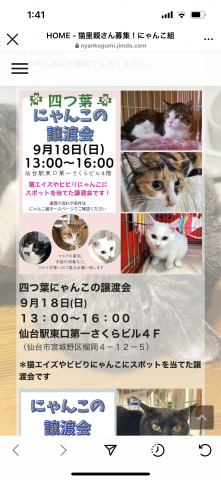 四ツ葉猫譲渡会