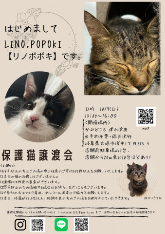 はじめましての保護猫譲渡会