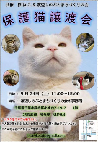 稲ねこ　保護猫譲渡会