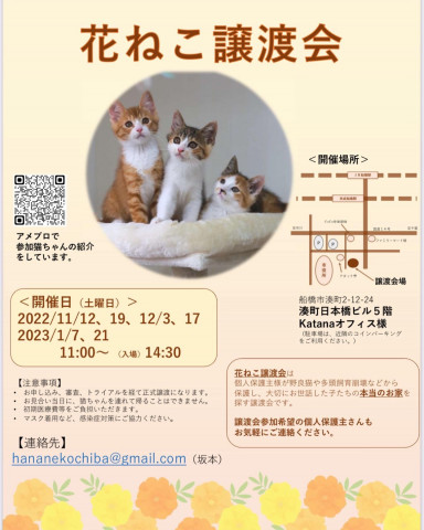 花ねこ譲渡会