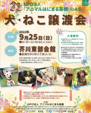 犬・猫　譲渡会 