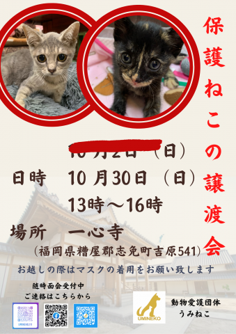 保護ねこの譲渡会in一心寺