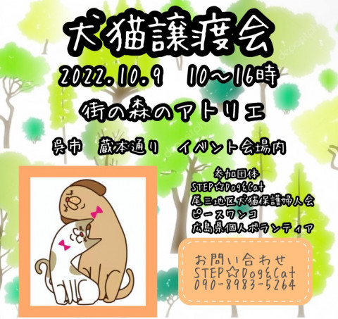 呉市！犬猫譲渡会