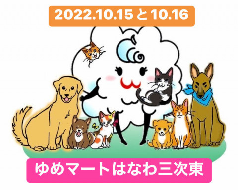 はなわ犬猫譲渡会！