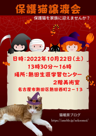 保護猫譲渡会