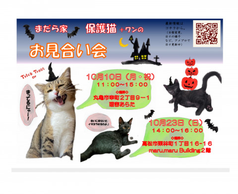 保護猫+保護ワンコのお見合い会