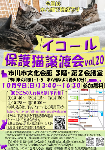【千葉県市川市】40頭以上参加：イコール保護猫譲渡会vol.20
