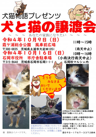 犬と猫の譲渡会～あなたの家族になりたい～