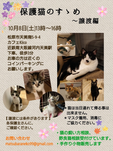 【保護猫のすゝめ 】～譲渡編