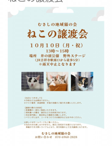 むさしの地域猫の会 譲渡会