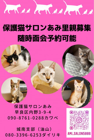 保護猫ふれあいサロンあみ譲渡会