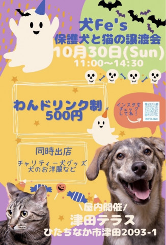 保護犬と猫の譲渡会【犬Ｆés】