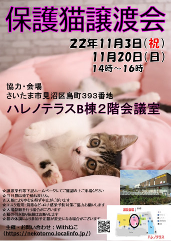 【さいたま市】11/20（日）ハレノテラス保護猫譲渡会