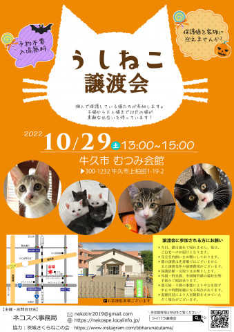 うしねこ譲渡会