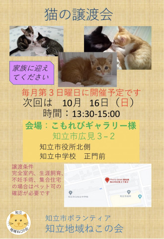 知立地域ねこの会　猫の譲渡会