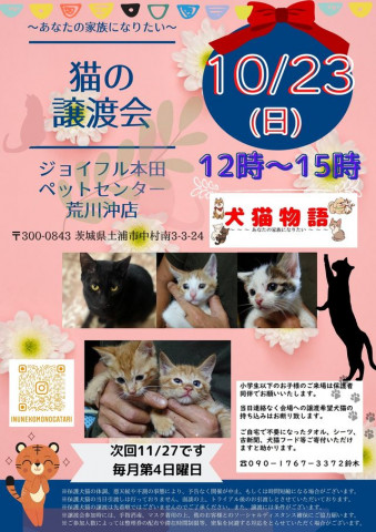 猫の譲渡会〜あなたの家族になりたい〜