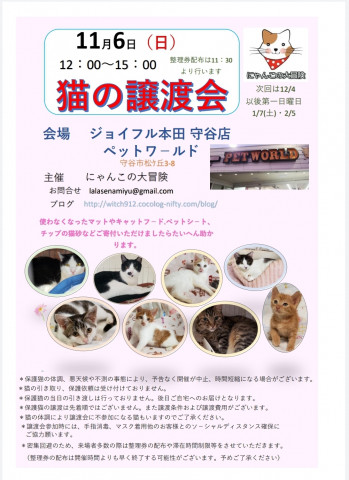 保護猫譲渡会　ジョイフル本田守谷店