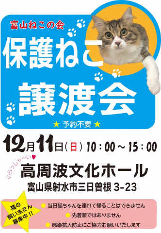 保護ねこ譲渡会