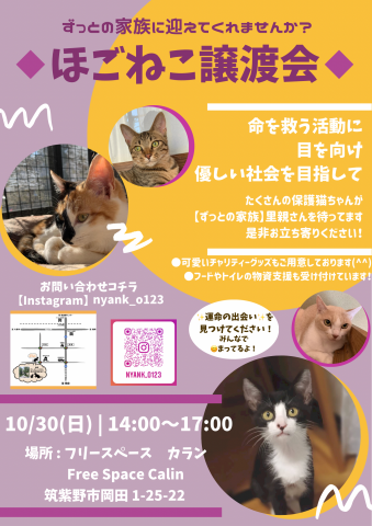 岡田ほごねこ譲渡会