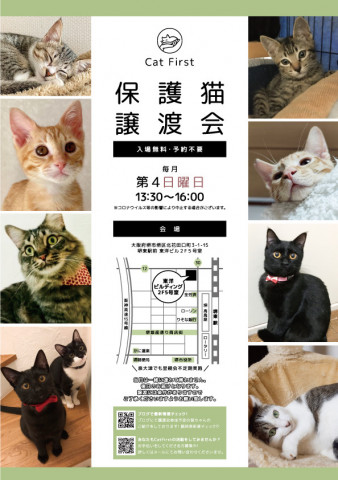 10／23 第45回　Cat First 譲渡会開催のお知らせ