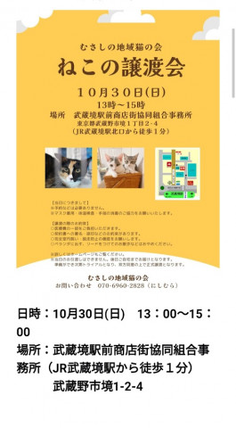 むさしの地域猫の会　譲渡会