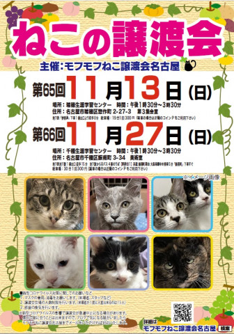 猫の譲渡会　in　名古屋市瑞穂生涯学習センター