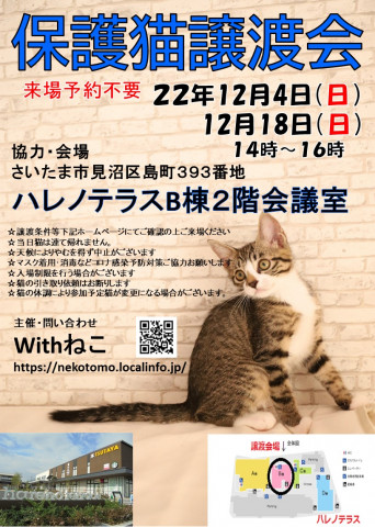 【さいたま市】12/18（日）ハレノテラス保護猫譲渡会