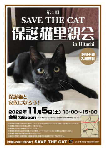 SAVE THE CAT 保護猫里親会 in Hitachi