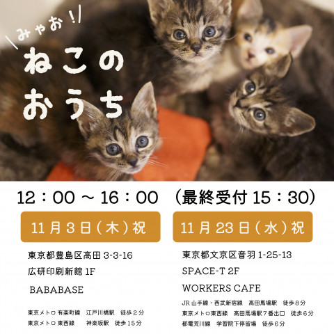 ミャオ！ねこのおうち譲渡会