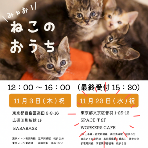 ミャオ！ねこのおうち譲渡会