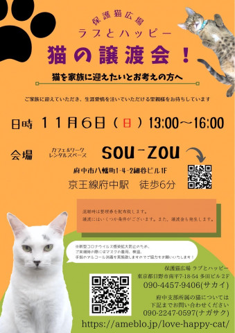 ラブとハッピー 猫の譲渡会