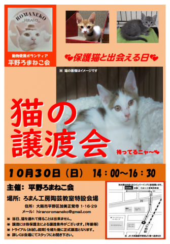 平野ろまねこ譲渡会