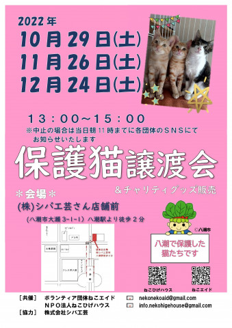 保護猫譲渡会