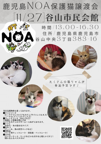 NOA鹿児島保護猫譲渡会♪