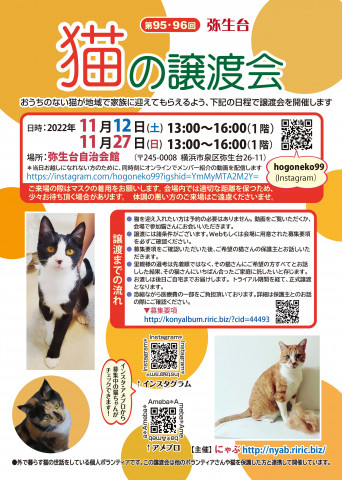 弥生台　猫の譲渡会