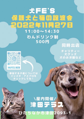 保護犬と猫の譲渡会【犬Ｆés】