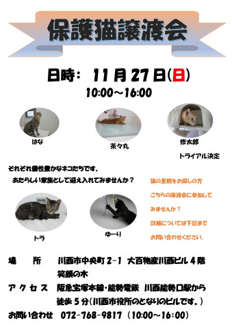 保護猫譲渡会