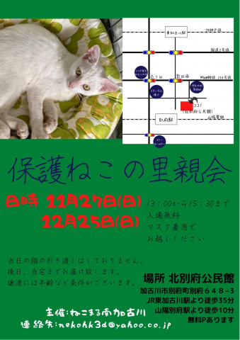 11/27 12/25  保護ねこの里親会