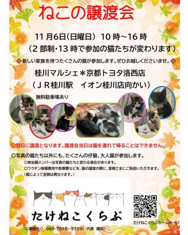 桂川マルシェ保護猫譲渡会