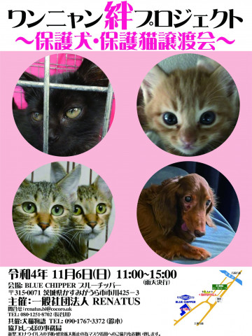 犬と猫の譲渡会～Renatusワンニャン絆プロジェクト～