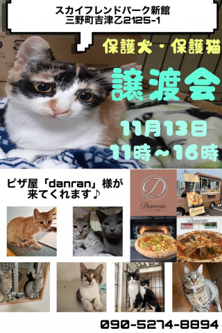 保護猫譲渡会