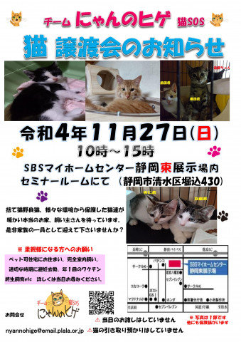 保護ニャンコの譲渡会ｂｙ静岡市清水区