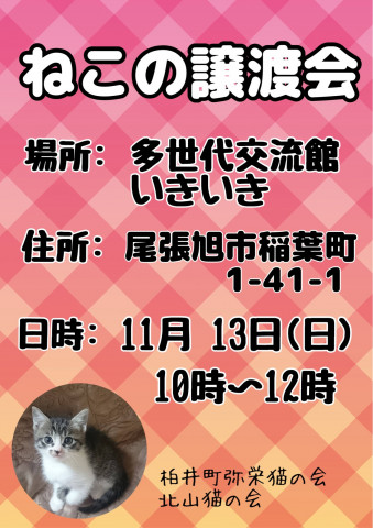 猫の譲渡会　in 尾張旭市(愛知県)