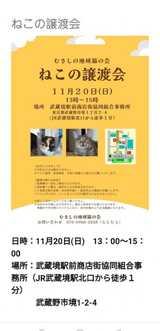 むさしの地域猫の会　譲渡会