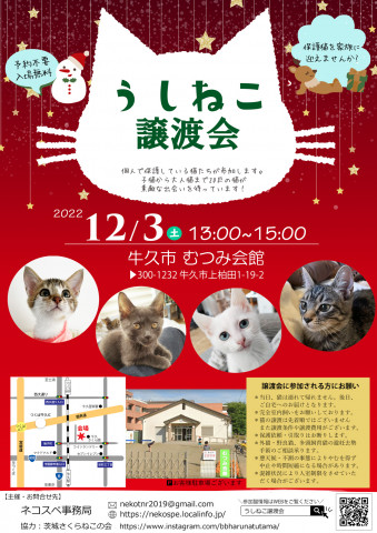 うしねこ譲渡会