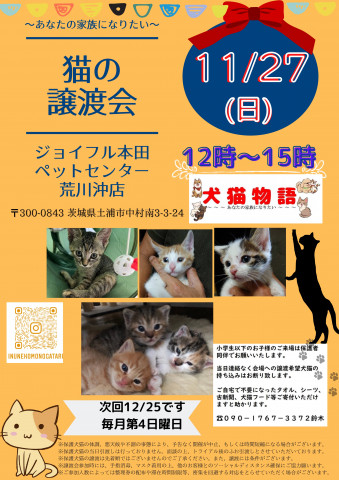 １１月２７日猫の譲渡会～あなたの家族になりたい～