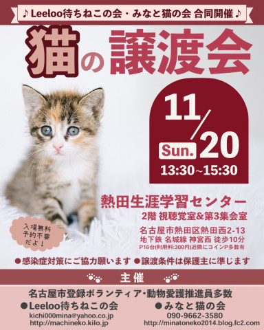 待ちねこ譲渡会　みなと猫さんと合同開催！