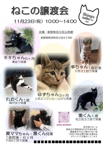 新宮猫の会🐾第７回　ねこの譲渡会