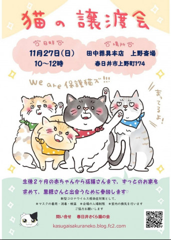 保護猫譲渡会in春日井