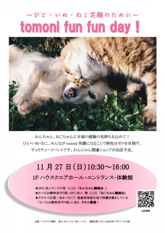 猫の里親譲渡会